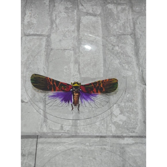 Hand painted Signed Glass‎ Salad Dessert Plates Reverse Floral Entomologist - Picture 5 of 16